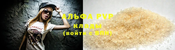 Альфа ПВП Верея