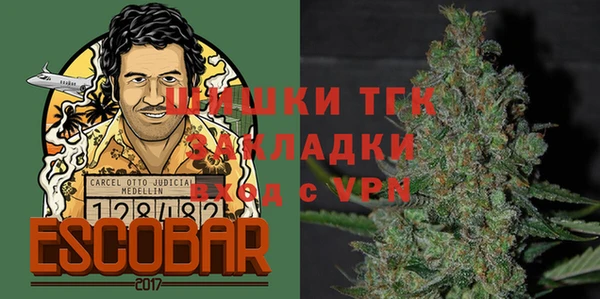 Альфа ПВП Верея