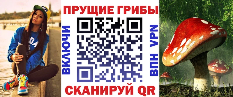Псилоцибиновые грибы Psilocybe  где продают   Железноводск 